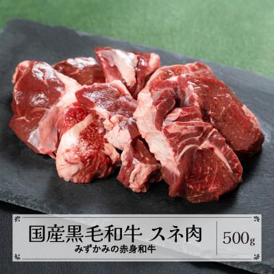 ふるさと納税 尾花沢市 みずかみの赤身和牛 スネ肉 500g mz-wgncx500