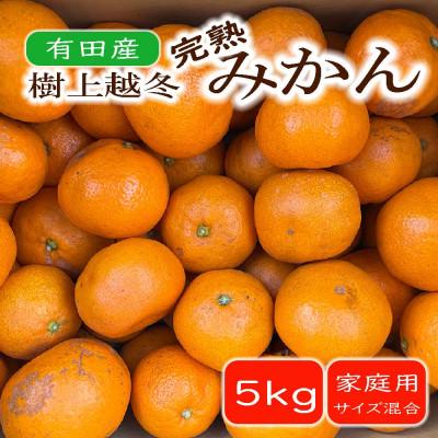 ふるさと納税 湯浅町 [濃厚・まろやか]有田産樹上越冬完熟みかん約5kg ご家庭用(湯浅町)