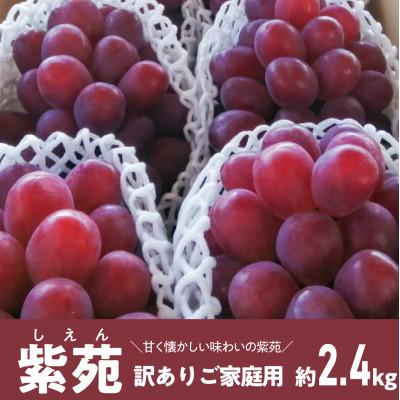 ふるさと納税 真庭市 [きよとうファーム]訳ありご家庭用 秋のぶどう「紫苑(しえん)」/ 約2.4kg (岡山県産)