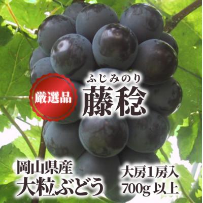 ふるさと納税 真庭市 [2026年先行予約]大粒葡萄の藤稔 大サイズ1房 厳選品/1房700g以上 (岡山県産)