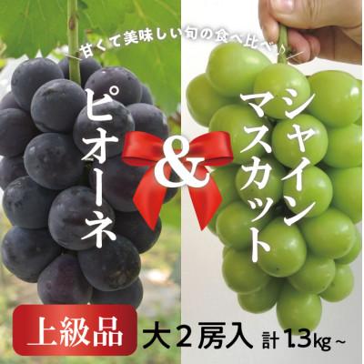 ふるさと納税 真庭市 [2026年先行予約]ピオーネ&amp;シャインマスカット 上級品 大2房 /計1.3kg~ (岡山県産)