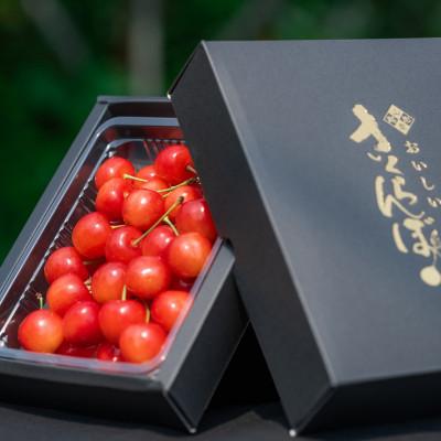ふるさと納税 寒河江市 2027年産 さくらんぼ 「 佐藤錦 」 300g 秀品 L以上 (300g×1箱) 山形県産 |  | 01