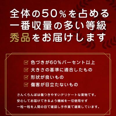ふるさと納税 寒河江市 2027年産 さくらんぼ 「 佐藤錦 」 300g 秀品 L以上 (300g×1箱) 山形県産 |  | 02