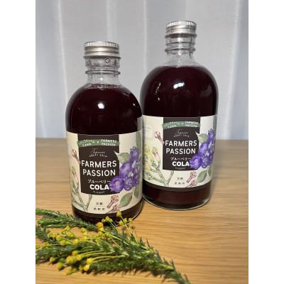 ふるさと納税 豊川市 [豊川市]完熟ブルーベリーのクラフトコーラ2本セット