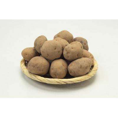 ふるさと納税 旭川市 秋の味覚 男爵いも・玉ねぎ・かぼちゃ1玉 合計8kg_04757