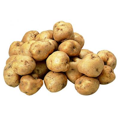 ふるさと納税 旭川市 秋の味覚 男爵いもと玉ねぎセット 合計8kg_04758