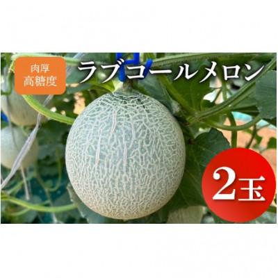 ふるさと納税 銚子市 [2026年発送]肉厚・高糖度 ラブコールメロン 2玉