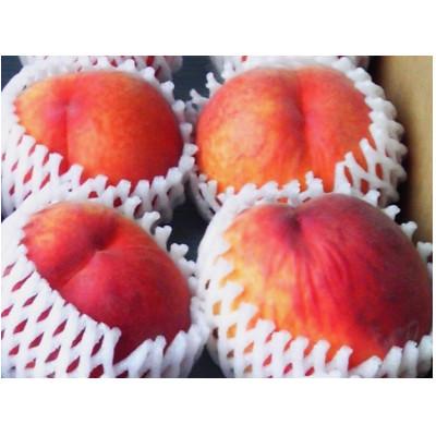 ふるさと納税 長野市 長野市産 旬の桃ワッサー2kg(6〜9玉入り)の画像