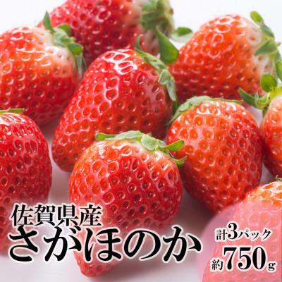 ふるさと納税 大町町 [2026年より順次発送・先行受付]佐賀産 さがほのか3パック(大町町)