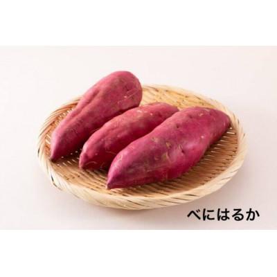 ふるさと納税 大子町 お芋の食べ比べ 3品種×各3kg 県内共通返礼品:行方市
