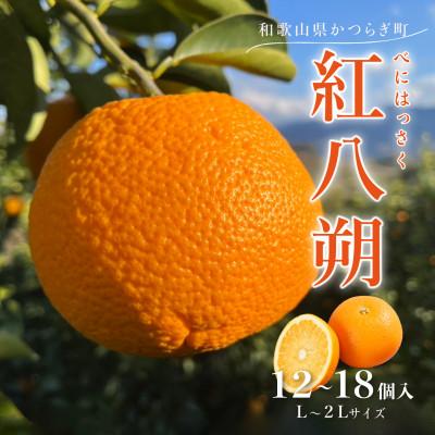 ふるさと納税 印南町 先行予約!紅はっさく 約5kg/12〜18個入り(L〜2Lサイズ)こだわり農家厳選!
