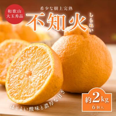 ふるさと納税 印南町 先行受付! 不知火 樹上完熟 約2kg 大玉6個入 こだわり農家厳選!