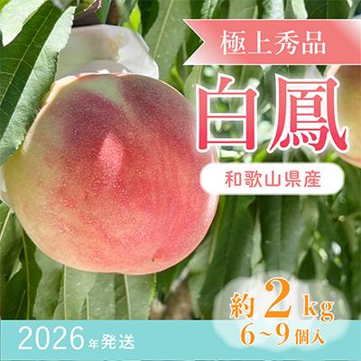 ふるさと納税 印南町 先行受付! 桃の王様[白鳳] 特秀品 約2kg 6〜9個入 こだわり農家厳選!