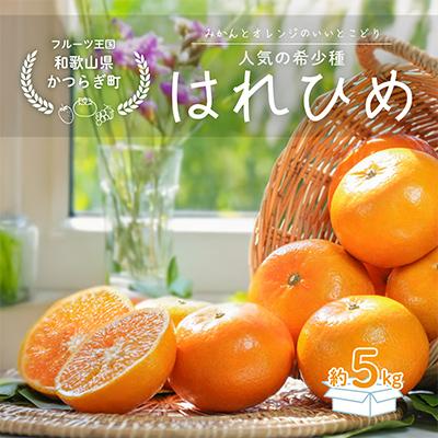 ふるさと納税 印南町 先行受付! はれひめ(みかんの希少種) 秀品 25個〜30個入 約5kg こだわり農家厳選!