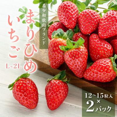 ふるさと納税 印南町 先行受付 まりひめイチゴ L〜2L 12粒〜15粒×2パック