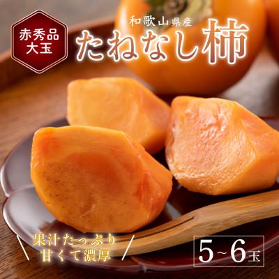 ふるさと納税 すさみ町 先行受付! 柿 種無し 赤秀品 大玉 5〜6個 約2kg こだわり農家厳選!