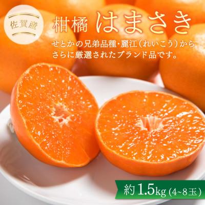 ふるさと納税 大町町 佐賀産柑橘「はまさき」約1.5kg箱(4-8玉)(大町町)