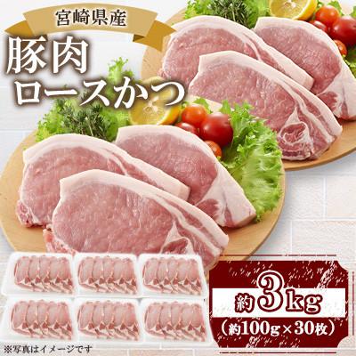 ふるさと納税 三股町 宮崎県産豚肉 ロースかつ用30枚(三股町)[MI464]