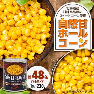 ふるさと納税 伊達市 [北海道の契約農家で栽培]自然甘 ホールコーン 230g×48缶(24缶×2ケース) とうもろこし