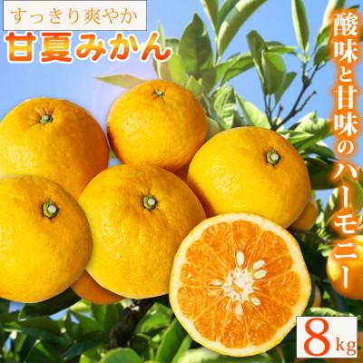 ふるさと納税 由良町 [ご家庭用訳あり]紀州有田産 すっきり爽やか 甘夏みかん 8kg