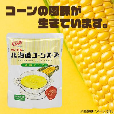 ふるさと納税 伊達市 北海道 コーンスープ 250g 10袋 【道産原料使用