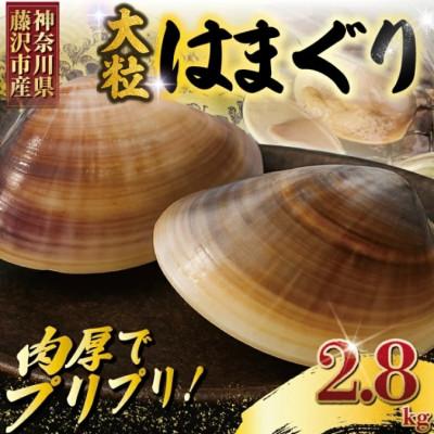 ふるさと納税 藤沢市 【かながわブランド認定品】大粒!湘南はまぐり　2.8kg(1.4g×2袋/1袋あたり5〜6個入り) | 