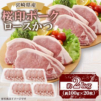 ふるさと納税 三股町 桜印ポーク ロースかつ 20枚セット(三股町)[MI458]