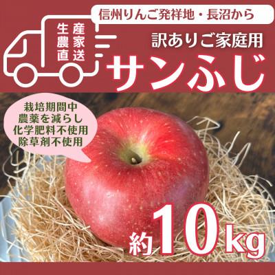 ふるさと納税 長野市 生産者直送 2026年産 長沼りんご サンふじ(ご家庭用)10kg 栽培期間中化学肥料・除草剤不使用