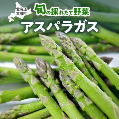 ふるさと納税 東川町 旬の採れたて野菜「アスパラガス」2Lサイズ約800g[5月下旬〜6月上旬発送][0065-001]