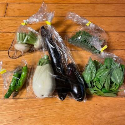 ふるさと納税 塩谷町 旬の野菜セット(品種お任せ 5種類以上)