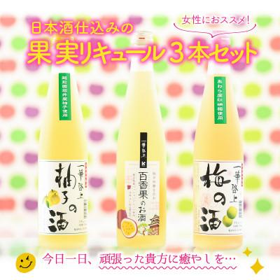 ふるさと納税 坂井市 [女性におススメ!]日本酒仕込みの果実リキュール3本セット [A-1352]