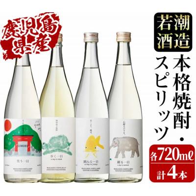 ふるさと納税 志布志市 [一日シリーズ]飲み比べセット 720ml×4本!