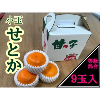 ふるさと納税 有田川町 [甘っ子]小玉せとか9玉入/手さげ箱 和歌山県有田川町産