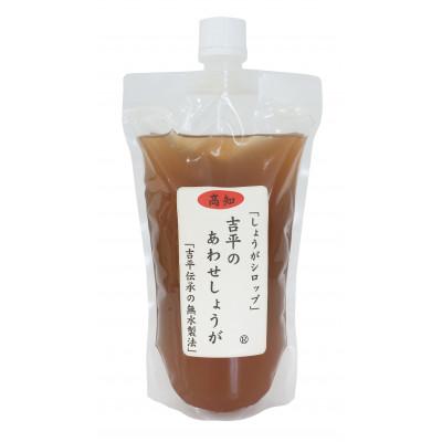 ふるさと納税 須崎市 濃縮 生姜シロップ パウチ 360ml×3パック