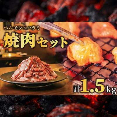 ふるさと納税 奈良市 たれ漬け牛ハラミ1.2kg+ホルモンMIX300g 焼肉用 BBQ 奈良県 奈良市 13-031