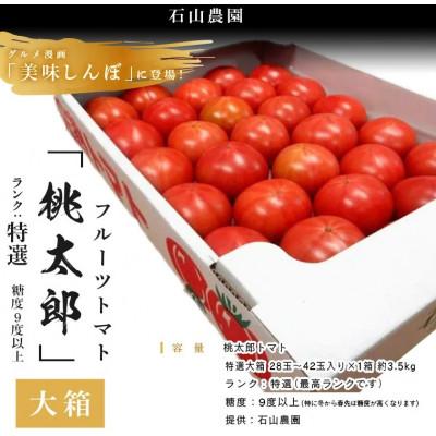 ふるさと納税 掛川市 【先行受付2027年発送】美味しんぼに登場　トマト「桃太郎」大箱 28玉〜42玉　特選　糖度9度以上 | 