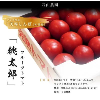 ふるさと納税 掛川市 【先行受付2027年発送】美味しんぼに登場　トマト「桃太郎」大箱 12玉〜20玉　特選　糖度9度以上 | 