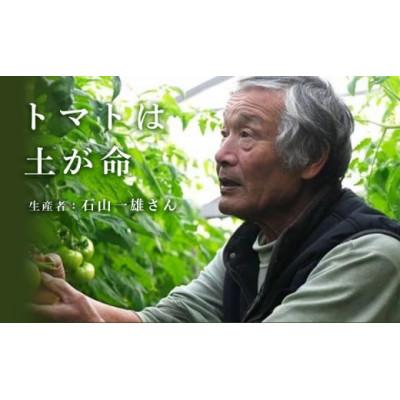 ふるさと納税 掛川市 【先行受付2027年発送】美味しんぼに登場　トマト「桃太郎」大箱 12玉〜20玉　特選　糖度9度以上 |  | 01