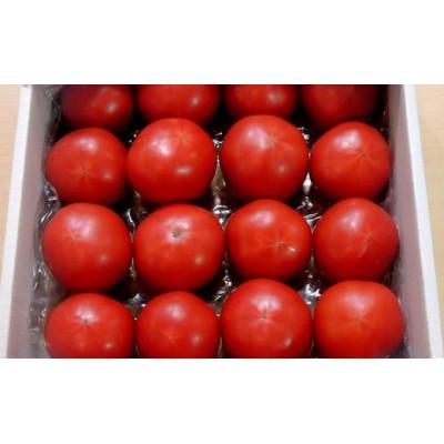 ふるさと納税 掛川市 【先行受付2027年発送】美味しんぼに登場　トマト「桃太郎」大箱 12玉〜20玉　特選　糖度9度以上 |  | 03