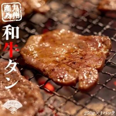 ふるさと納税 川崎町 [牛若丸]九州産和牛タン(タレ付)セット 250g