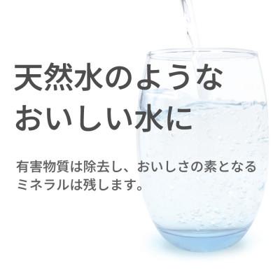 ふるさと納税 山県市 磨水IV まみず4 交換用 フィルター カートリッジ