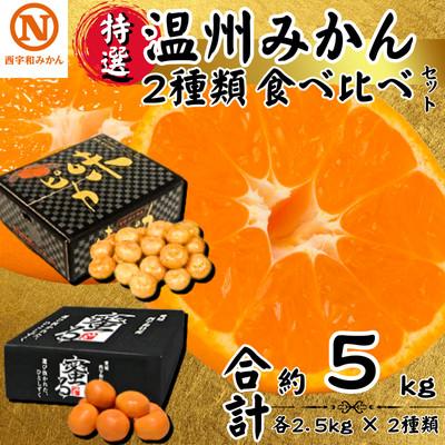 ふるさと納税 八幡浜市 特選温州みかん2種類食べ比べ(味ピカ・蜜る)各2.5kg×2箱[E08-94]