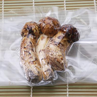 ふるさと納税 岩泉町 岩手県岩泉町産 冷凍岩泉まつたけ 100g×1パック