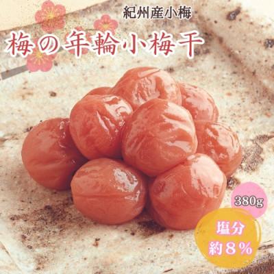 ふるさと納税 田辺市 梅の年輪小梅干 380g 塩分約8%[mrs021]