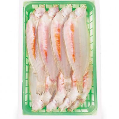 ふるさと納税 いわき市 特選子持ち干しやなぎ 約1,000g