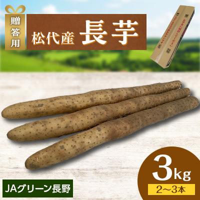 ふるさと納税 長野市 [先行受付]JAグリーン長野 松代産 長芋 3kg(2〜3本) 贈答用