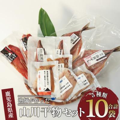 ふるさと納税 指宿市 漁師が作った美味しい山川干物セット(010-1916)