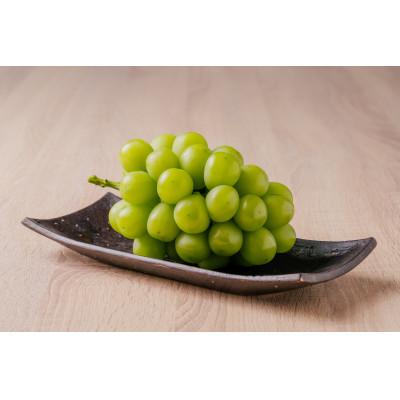ふるさと納税 高畠町 山形県 高畠町産 シャインマスカット 約3kg(4〜6房) 2026年9月中旬から順次発送の画像