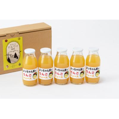 ふるさと納税 飯田市 よっちゃん家のりんごジュース 180ml×5本入りリセット