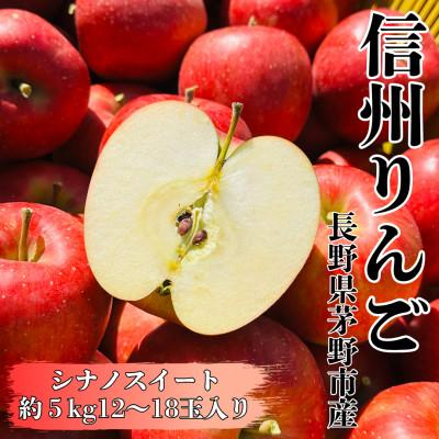 ふるさと納税 茅野市 [2026年先行受付]長野直送!信州八ヶ岳のりんごシナノスイート約5kg(12〜18玉)蓼科高原